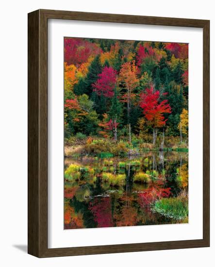Vermont Fall #2-Steven Maxx-Framed Photographic Print