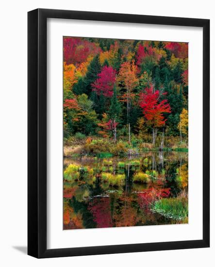 Vermont Fall #2-Steven Maxx-Framed Photographic Print