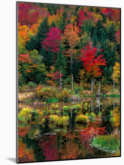 Vermont Fall #2-Steven Maxx-Mounted Photographic Print