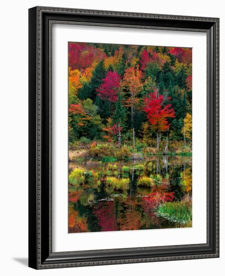 Vermont Fall #2-Steven Maxx-Framed Photographic Print