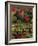 Vermont Fall #2-Steven Maxx-Framed Photographic Print