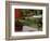 Vermont Farm in the Fall, USA-Charles Sleicher-Framed Photographic Print