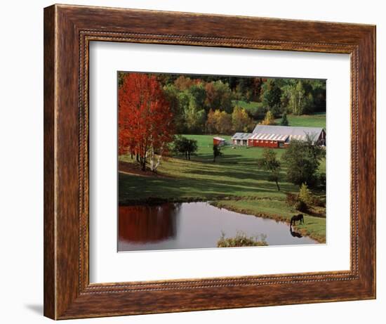 Vermont Farm in the Fall, USA-Charles Sleicher-Framed Photographic Print