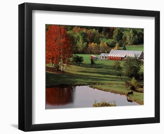 Vermont Farm in the Fall, USA-Charles Sleicher-Framed Photographic Print