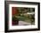Vermont Farm in the Fall, USA-Charles Sleicher-Framed Photographic Print