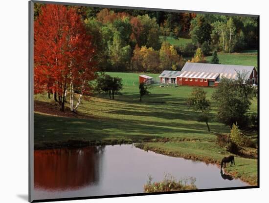 Vermont Farm in the Fall, USA-Charles Sleicher-Mounted Photographic Print