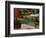 Vermont Farm in the Fall, USA-Charles Sleicher-Framed Photographic Print