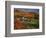 Vermont Farm in the Fall, USA-Charles Sleicher-Framed Photographic Print