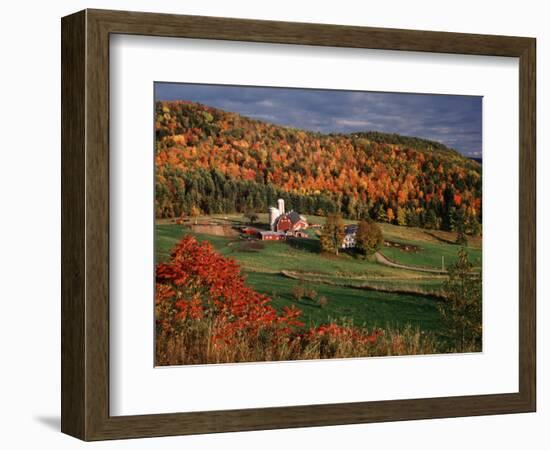 Vermont Farm in the Fall, USA-Charles Sleicher-Framed Photographic Print