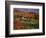 Vermont Farm in the Fall, USA-Charles Sleicher-Framed Photographic Print