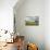 Vermont Farm-Brenda Petrella Photography LLC-Mounted Giclee Print displayed on a wall