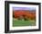 Vermont Hills in the Fall, Vermont, USA-Charles Sleicher-Framed Photographic Print