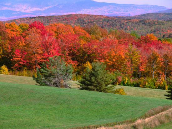 'Vermont Hills in the Fall, Vermont, USA' Photographic Print - Charles ...