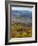 Vermont's Colors-Brenda Petrella Photography LLC-Framed Giclee Print