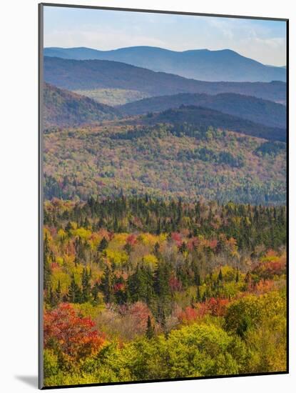 Vermont's Colors-Brenda Petrella Photography LLC-Mounted Giclee Print