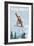 Vermont - Snowboarder Jumping-Lantern Press-Framed Premium Giclee Print