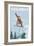 Vermont - Snowboarder Jumping-Lantern Press-Framed Art Print