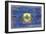 Vermont State Flag - Barnwood Painting-Lantern Press-Framed Art Print