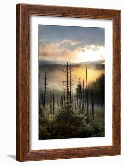 Vermont Swamp at Sunrise-Stephen Goodhue-Framed Photographic Print