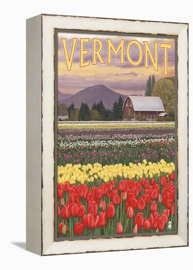 Vermont - Tulip Fields-Lantern Press-Framed Stretched Canvas