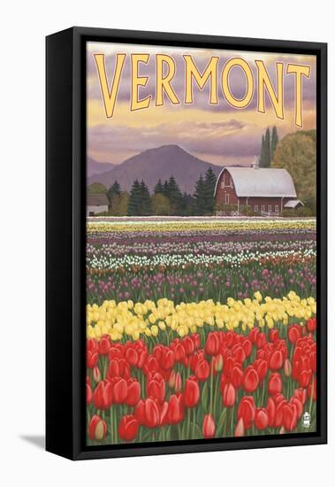 Vermont - Tulip Fields-Lantern Press-Framed Stretched Canvas