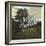 Vermont-Kimberly Glover-Framed Giclee Print