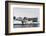 Vernadsky Research Base, the Ukrainian Antarctic station at Marina Point on Galindez Island in the -Sergio Pitamitz-Framed Photographic Print