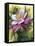 Vernal-Barbara Keith-Framed Premier Image Canvas