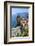 Vernazza, Italian Riviera, Cinque Terre, UNESCO World Heritage Site, Liguria, Italy, Europe-Hans-Peter Merten-Framed Photographic Print