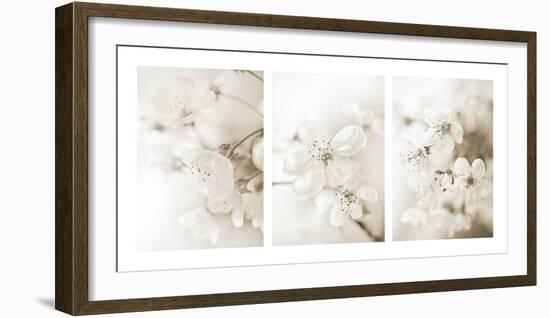 Vernus Triptych (sepia)-Eva Charlotte Fransson-Framed Giclee Print