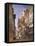 Verona: Corso Sant Anastasia and the Palazzo Maffei, 1855-William Callow-Framed Premier Image Canvas