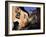 Verona, Veneto, Italy-Michael Jenner-Framed Photographic Print