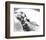 Veronica Lake-null-Framed Photo