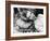 Veronica Lake-null-Framed Photographic Print