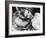 Veronica Lake-null-Framed Photographic Print