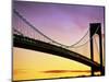 Verrazano Narrows Bridge at Dusk-Alan Schein-Mounted Photographic Print