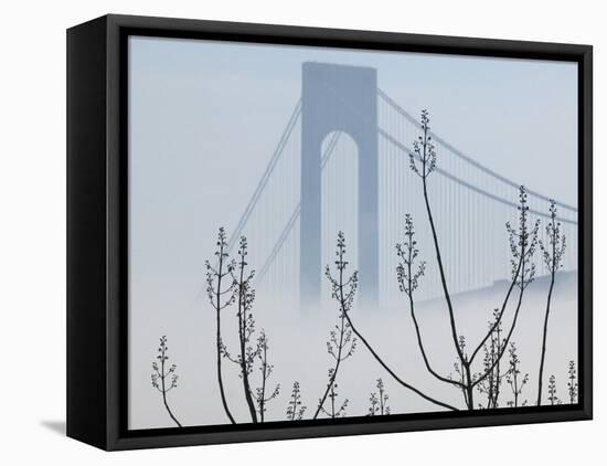 Verrazano-Narrows Bridge in Morning Fog, Staten Island, New York, USA-Walter Bibikow-Framed Premier Image Canvas