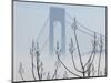 Verrazano-Narrows Bridge in Morning Fog, Staten Island, New York, USA-Walter Bibikow-Mounted Photographic Print