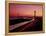 Verrazano-Narrows Bridge, New York City, USA-null-Framed Premier Image Canvas