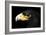 Verreaux's Eagle-Linda Wright-Framed Photographic Print