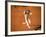 Verreaux's Sifaka, Berenty, Madagascar-Pete Oxford-Framed Photographic Print