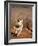 Verreaux's Sifaka, Berenty, Madagascar-Pete Oxford-Framed Photographic Print