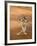 Verreaux's Sifaka 'Dancing', Berenty Private Reserve, South Madagascar-Inaki Relanzon-Framed Photographic Print