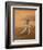 Verreaux's Sifaka 'Dancing', Berenty Private Reserve, South Madagascar-Inaki Relanzon-Framed Photographic Print