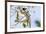 Verreaux's sifaka (Propithecus verreauxi), Tsingy du Bemaraha National Park, western area, Madagasc-Christian Kober-Framed Photographic Print