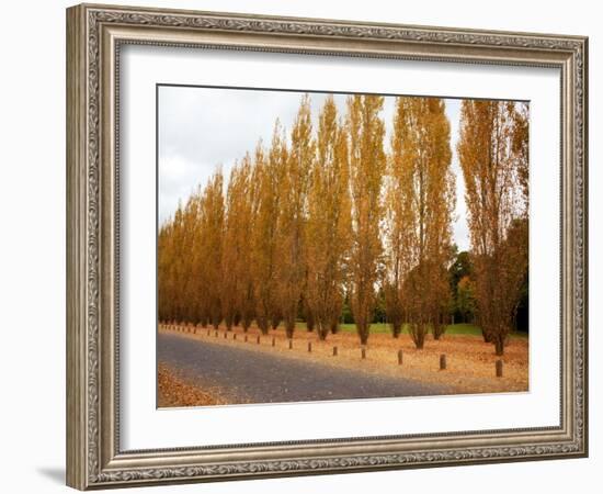 Versailles in Fall I-Emily Navas-Framed Art Print