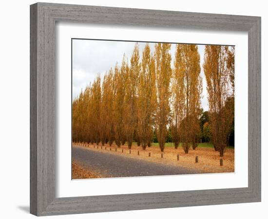 Versailles in Fall I-Emily Navas-Framed Art Print