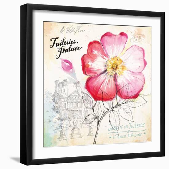 Versailles Peony-Angela Staehling-Framed Premium Giclee Print