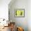 Vert Lime-Anna Polanski-Framed Art Print displayed on a wall