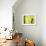 Vert Lime-Anna Polanski-Framed Art Print displayed on a wall